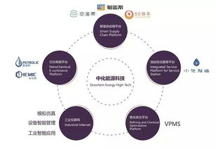 3年營收復合增長率提升5倍 中化能源科技提供數(shù)字石化新路徑